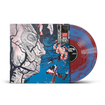 NAPALM DEATH Harmony Corruption LP RED BLUE MERGE [VINYL 12"]
